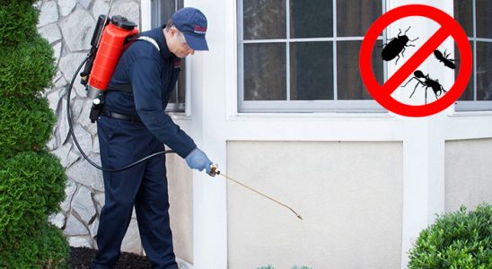 Bahçelievler Hamam Böceği İlaçlama böcek ilaçlama ve haşere kontrolü — ilaclama-tr.com